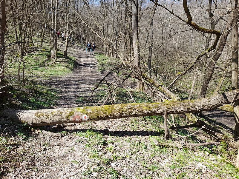 DAN PEŠAČENJA 2026 - U SLAVU PLANINARA - 125 GODINA PLANINARSTVA U SRBIJI